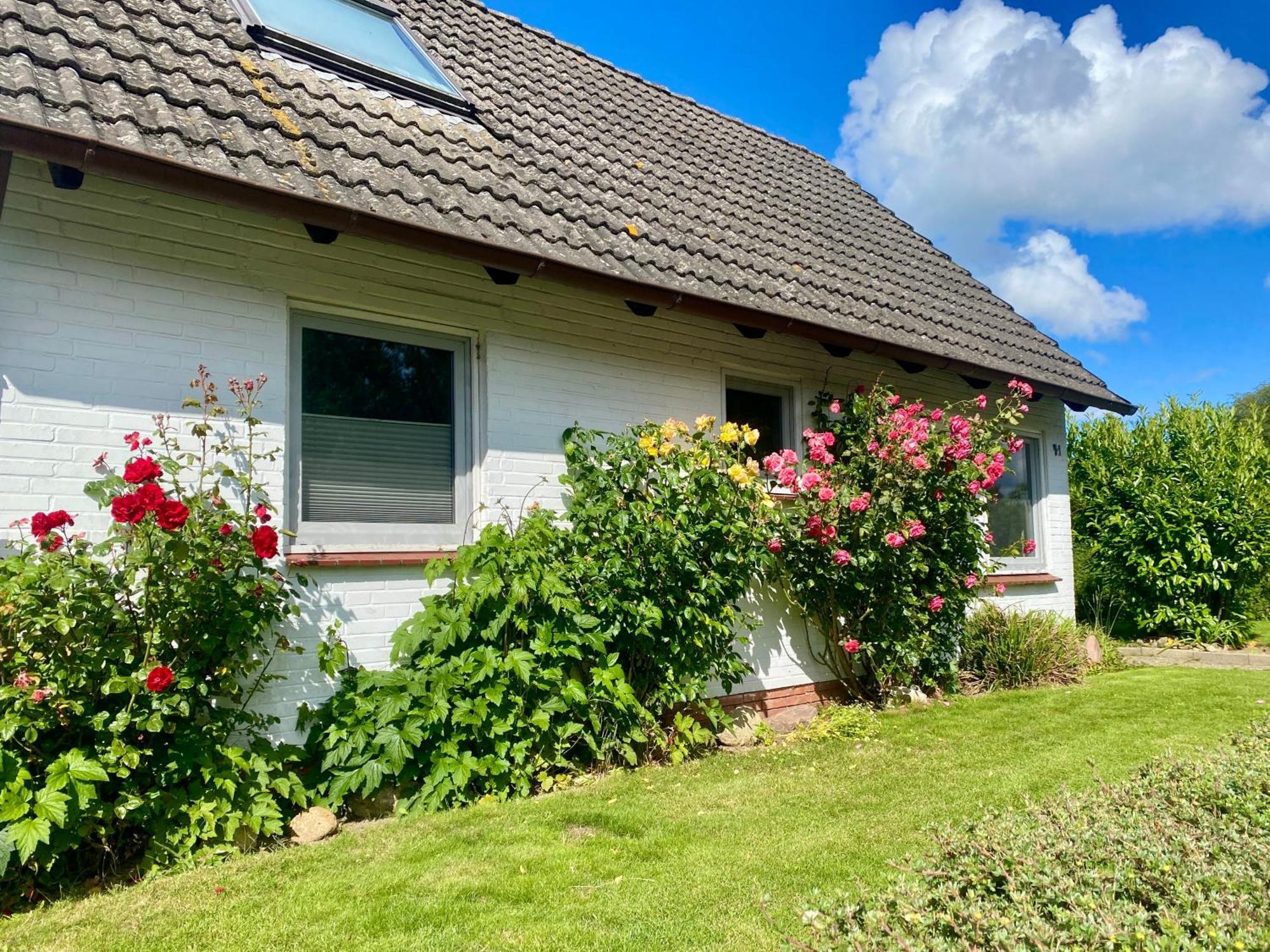 Ferienhaus Sutje Loose Zewnętrze zdjęcie